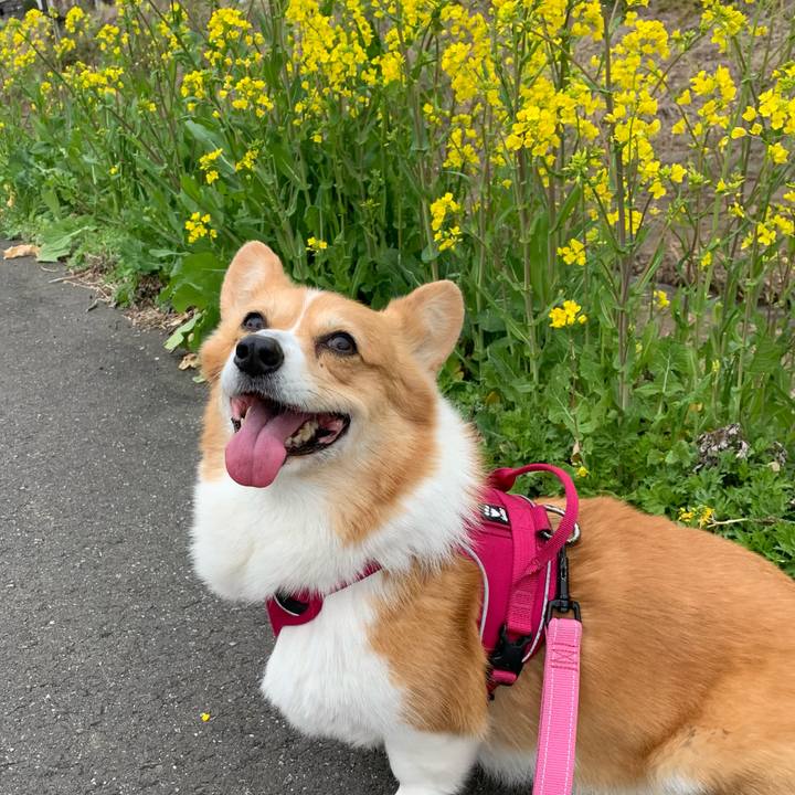 52158b8e f341 4726 9a84 cceb3db72fb9 1648263630699