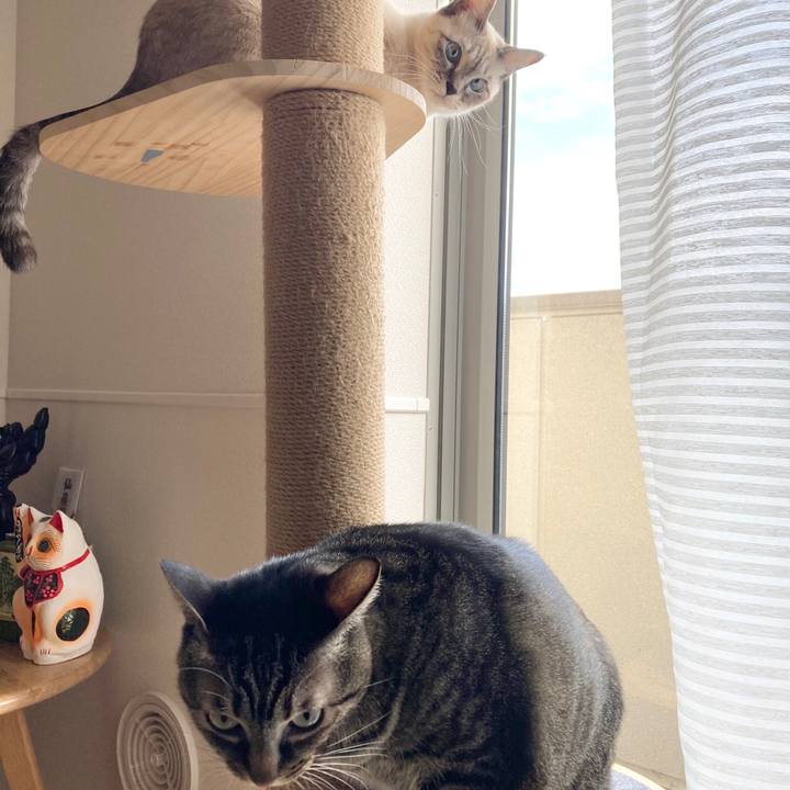 5215adcc be5e 4943 8258 5f11e6d7d76d 1604198555663