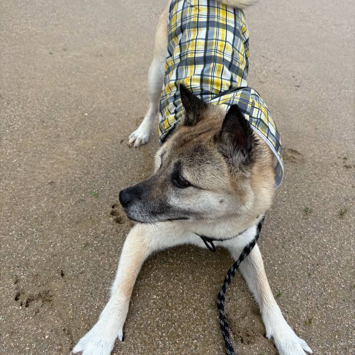 5216000d 7c8e 4936 8c1f 345b6a3b0a4d 1749889127115