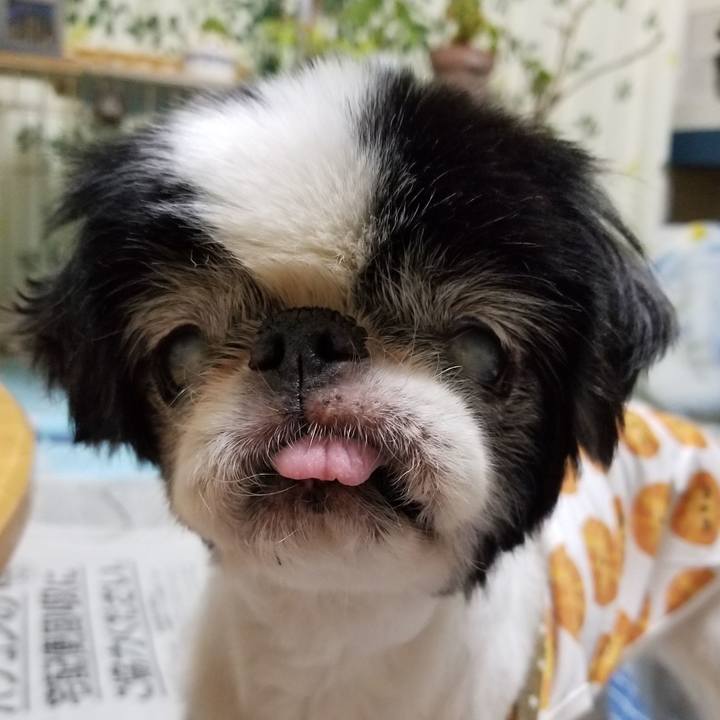 52162b16 8746 495c 99c1 7222e9a2a698 1634980371566