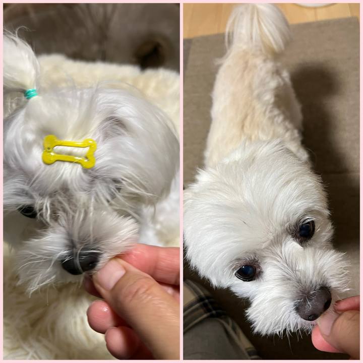 52167fb7 941d 4d63 ab74 6f904c108b5e 1730622505875