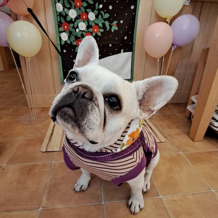 52174a75 5313 45ad bbe4 5784e51d4c91 1705480427148