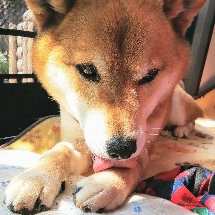 52175993 a0f8 47d5 89cb d67535ad0c49 1586393907893