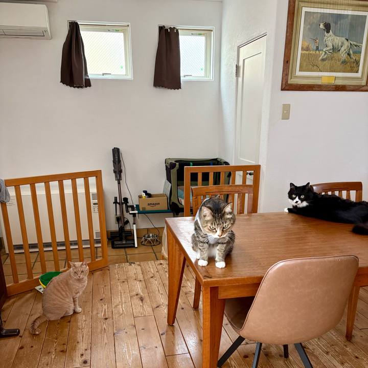 52176a4c b924 466c 8fbb 7bab094ceac8 1771644496891