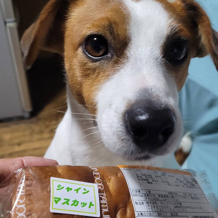 52178fad 7f81 4298 8018 b0e171bc3271 1696115513468