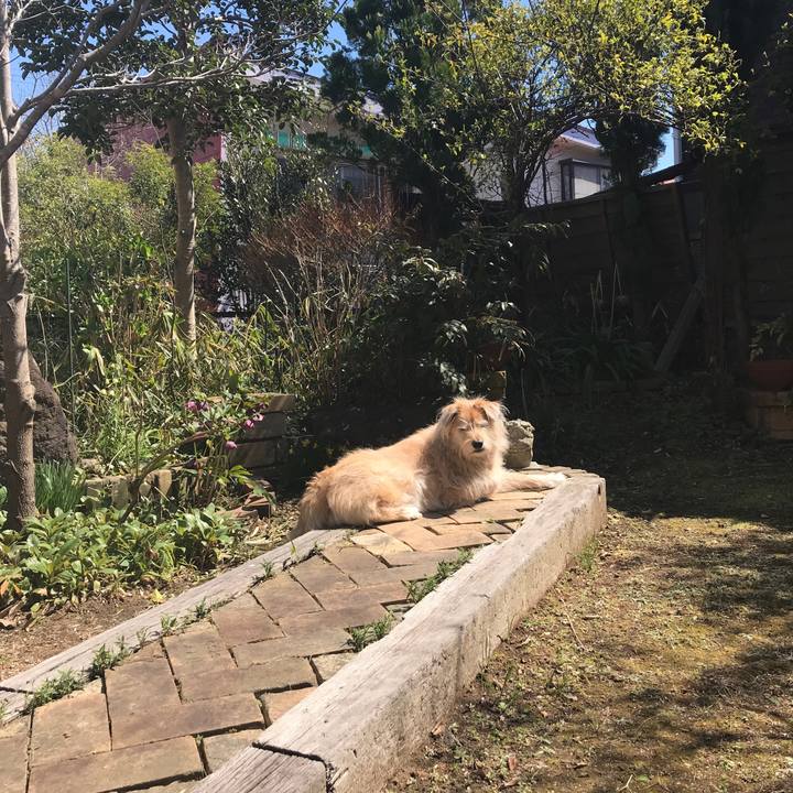 52179ab6 8dc4 4b73 81f5 bd9bb57e1572 1553486487690