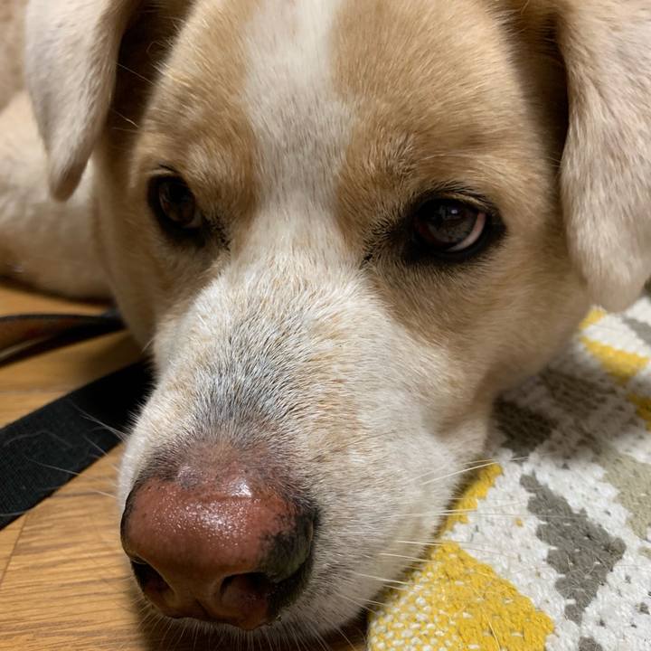 5217b17e 8553 4b09 b556 482bcfbf0d0e 1567933480066