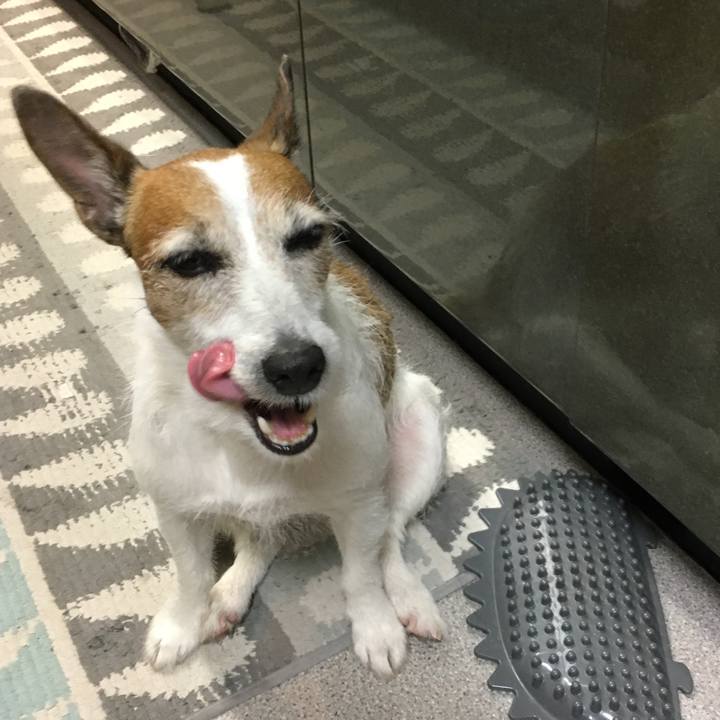 5217cef4 a96a 41e1 8866 856e065f7fd9 1621038985816