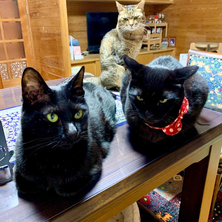 5217fce6 9967 49b7 ad4b be152f26fc3f 1681478332449