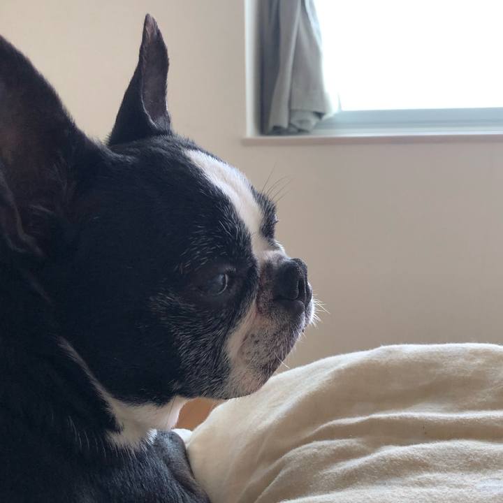 5218676f e940 4f46 aebb aa9f2451c821 1685082091791