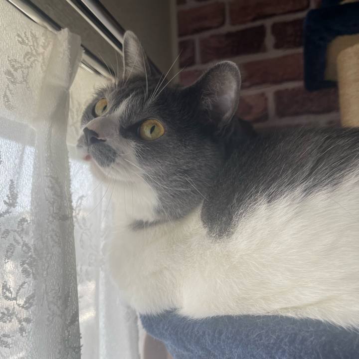 521895da b87c 4958 b5f9 c8ab544b4328 1655075086717