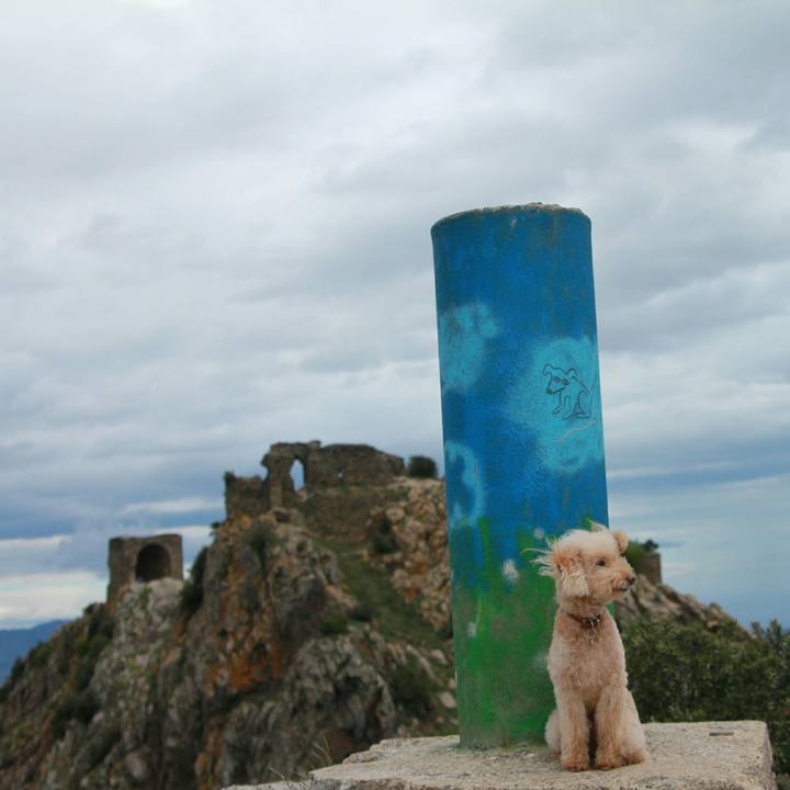 5218ab56 77b4 41a6 a280 59b748058587 1557763693525