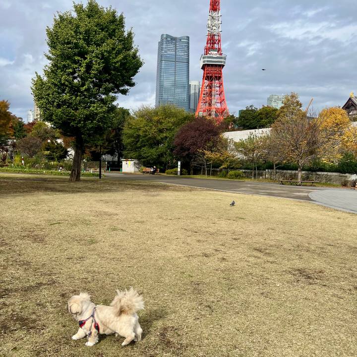 5218ccb1 4bd2 4a32 a3b4 474fc41e7f56 1762821616513