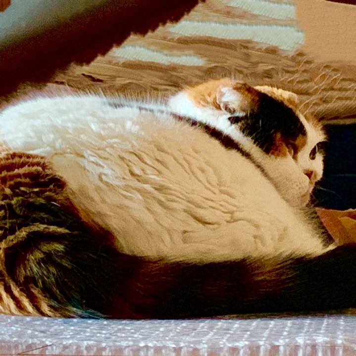 5218d4a9 972f 46dd 9fe3 7d6979cf604f 1562763619360