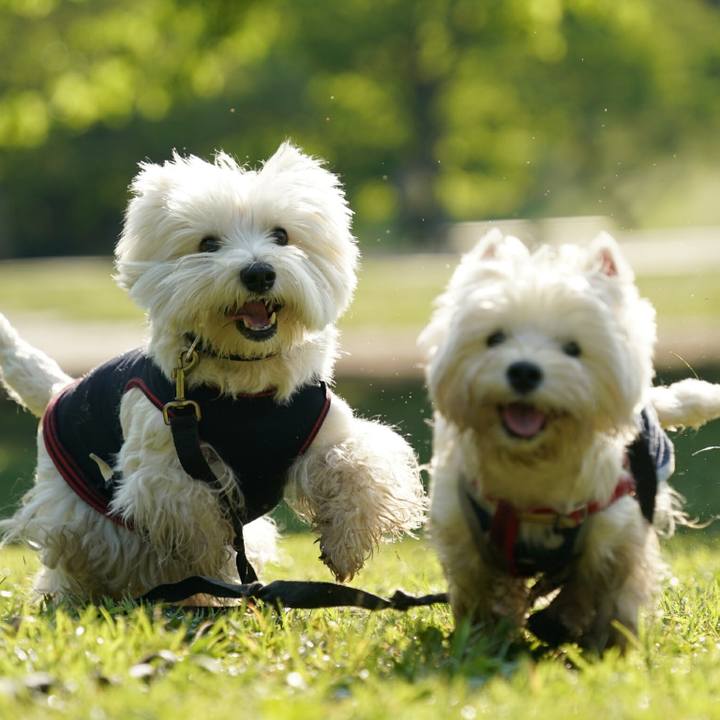 521912be 9c6e 4376 8400 76849e948ee8 1526043928860