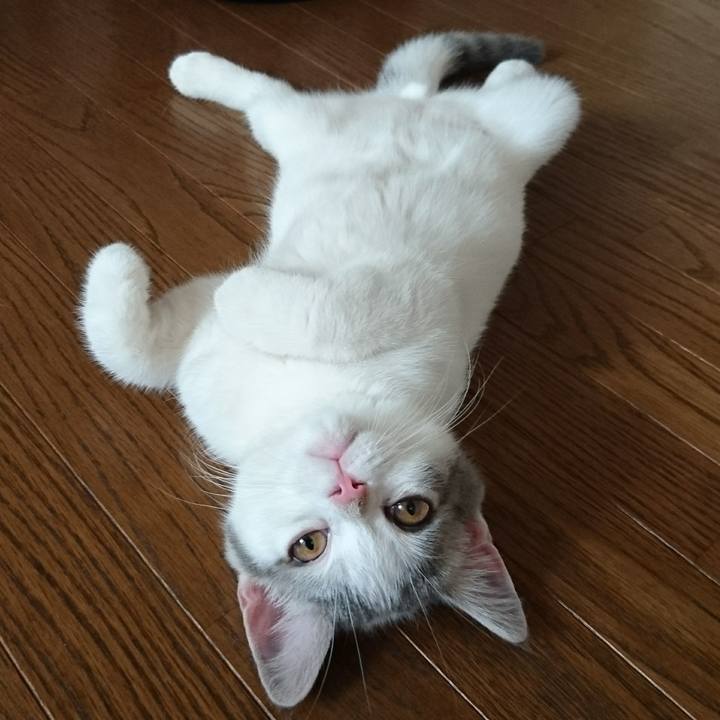 52191ff6 a740 4999 acf6 27d69e433f10 1531353126569