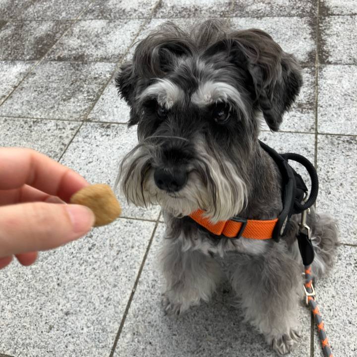 5219742b f54b 4737 abe4 eab33818bec8 1725160969789