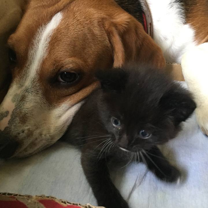 52198928 36b5 4310 ae1c dd881398386d 1525054485575