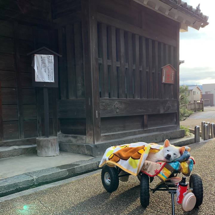 5219a70c 9d3e 4441 bf4e 604dab48c4e5 1583715969878