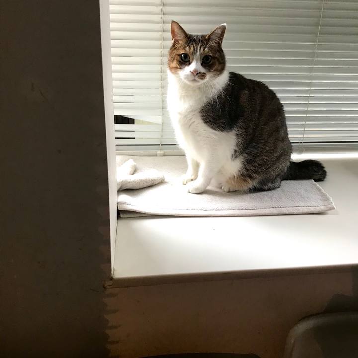 521a86cc 10c5 40f4 b7a7 d27282148c6a 1574759520041