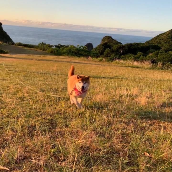 521aa429 a5ad 4273 bf76 ad9f0acd31b3 1735389494804