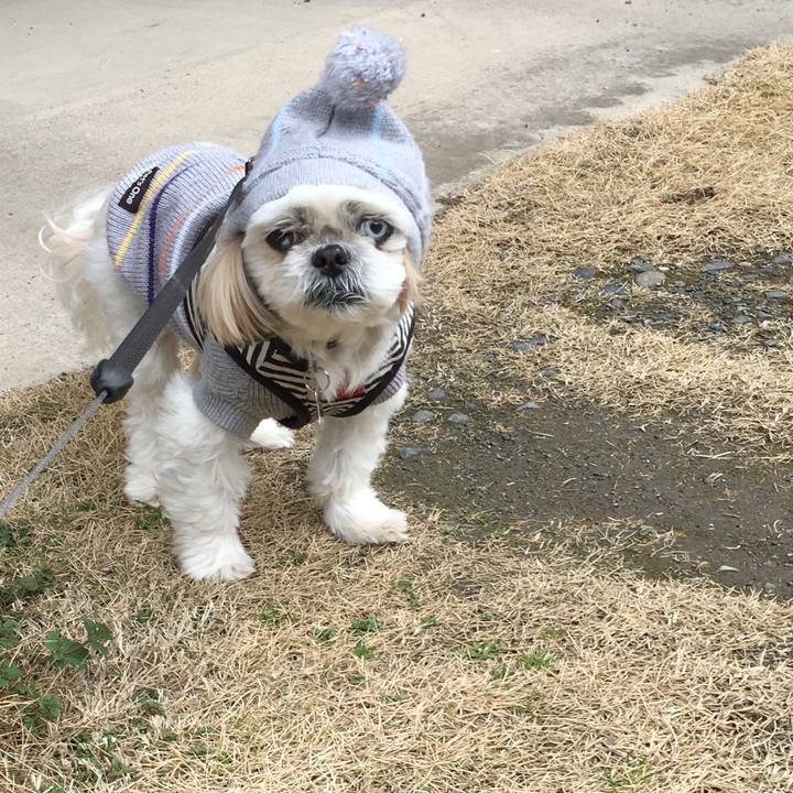 521aa6b3 aecd 4e0c 843a 25b61f21b450 1582346504048