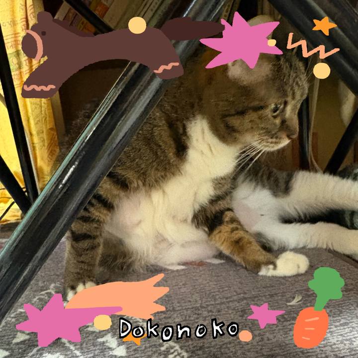521aaa25 1d3b 4a3f a081 4bd3931be6f8 1772062342813