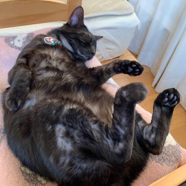 521ab1a6 3b9f 484f afda 8ea57d5967b0 1571370328832