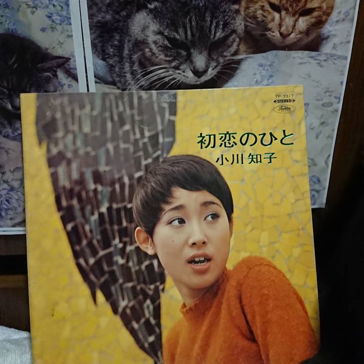 521abb2b c70f 4f9d 80ef 0d2ab11d5006 1624277777237