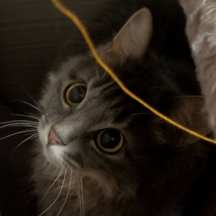 521afc53 70f5 46cd 9d53 54ab6e7230b1 1534856607537