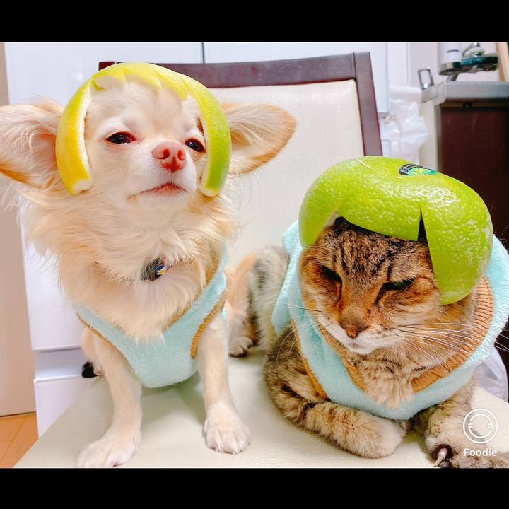 521b0af9 c3a6 42d1 990e 01eeadc1d6fc 1697719689139