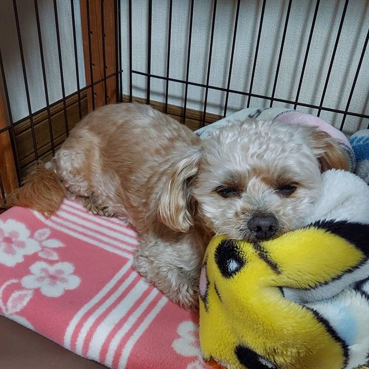 521b2e01 450b 4e48 837f 18bb7a32ae34 1645787246869