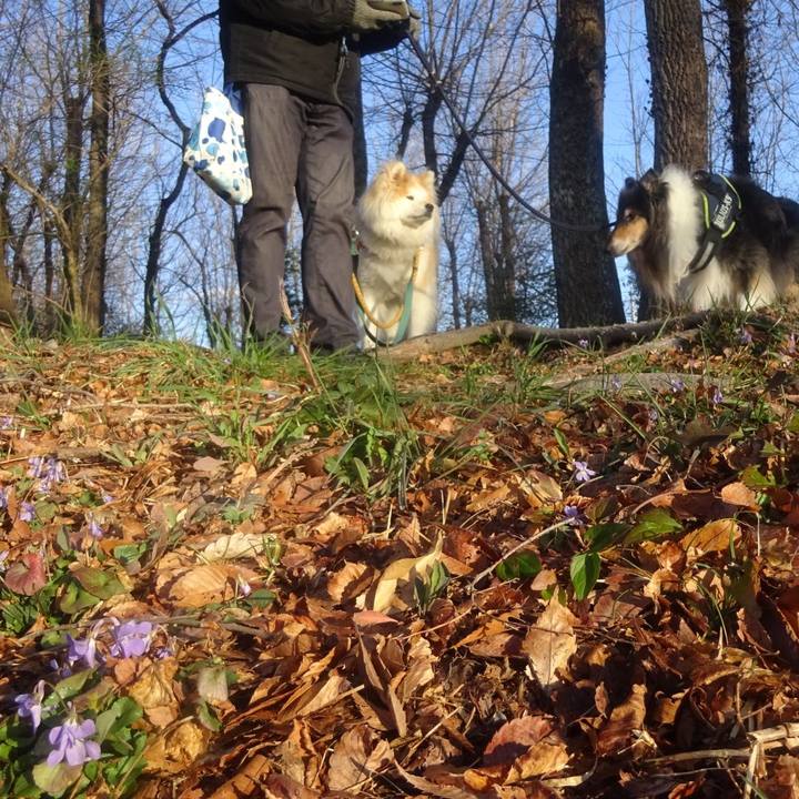 521b4434 a3b4 4838 8fff 92e29551a3ad 1615900346875