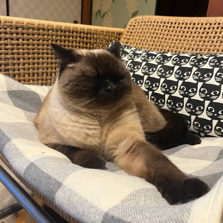 521b737b d0a9 4ebb a300 d13c4018c9f2 1649128698514