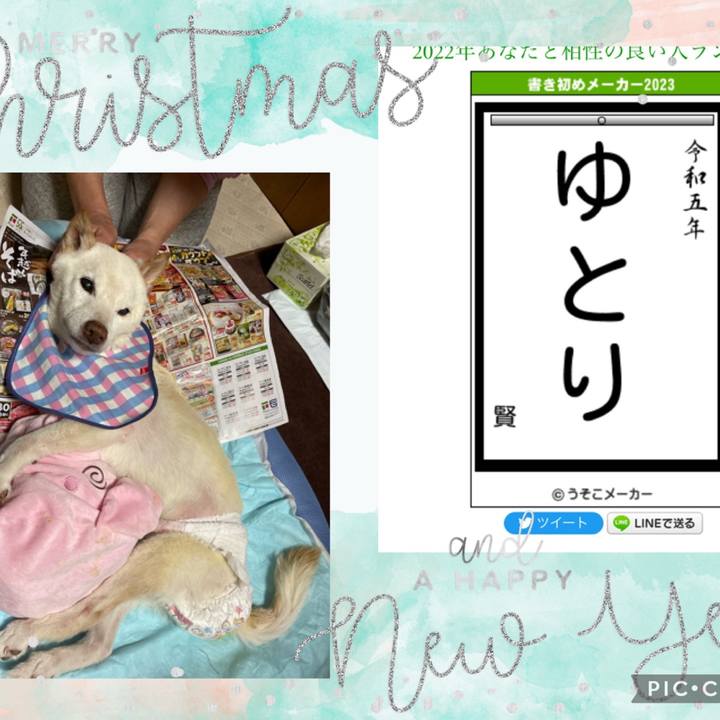 521b8560 fe98 4cef 9eed 72705378ece1 1672667167465