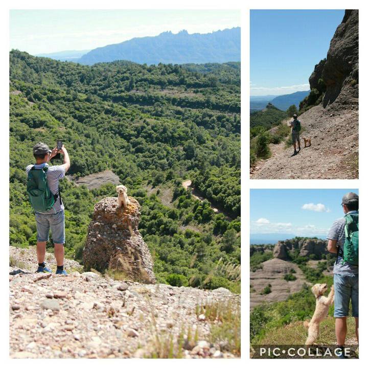 521b86da a775 49ee a8b3 9e46355553e3 1592159000421