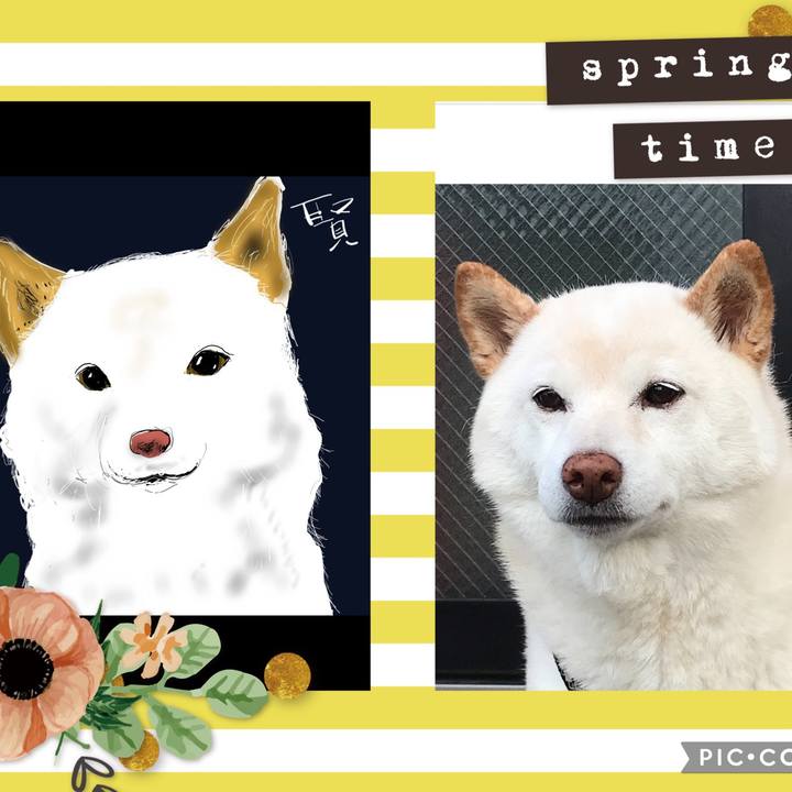 521b8a97 d368 4bac a5f5 bc3fd4fda721 1648866305218