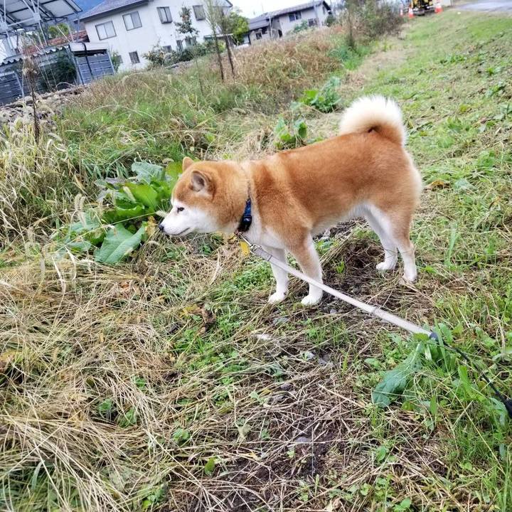 521bc884 2b14 4765 bc02 f2c98462cf20 1572153942273