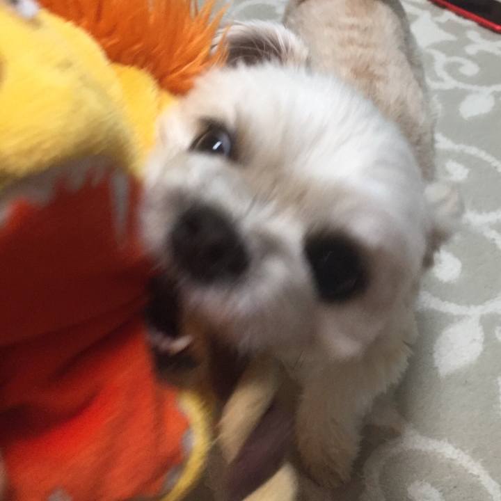 521bd13a 4433 4455 a453 b3c287b1a867 1557315660410