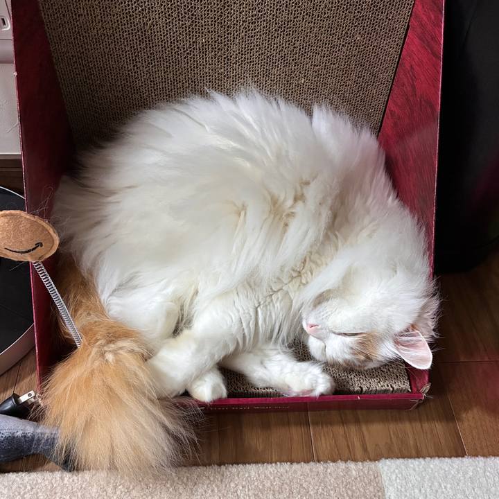 521be865 8229 45ed a2ab 5ba608cb88b0 1776742851688