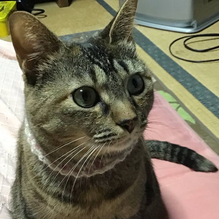 521bfee1 2735 47b1 9abe 22929c371f3f 1677232714927