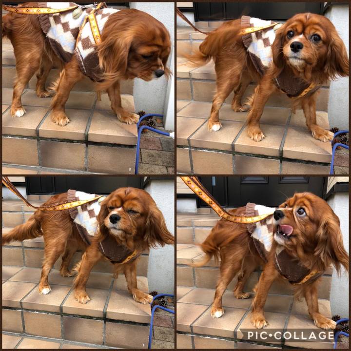 521c087a f772 4399 ab16 6c440ae918a2 1580222289158