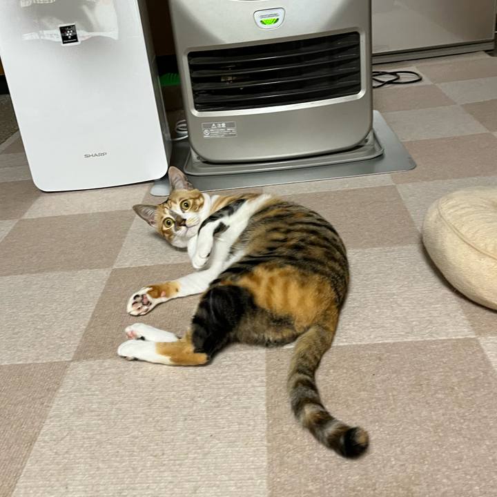 521c4438 d3fd 4a25 91de 3191e5e6f0e3 1669673855199