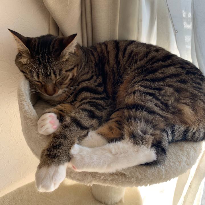 521c51bc e9b2 4f9f 9dec 1ae9b6bf1327 1550968577691