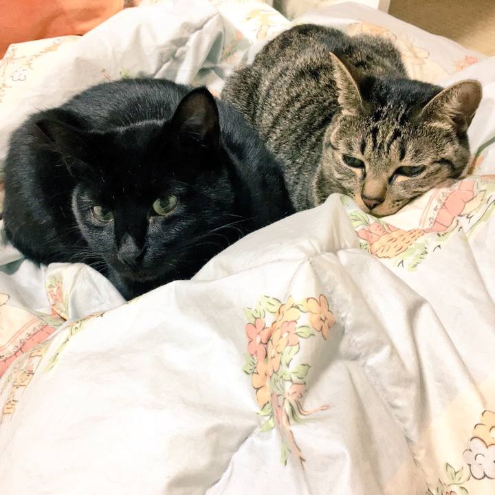 521ca005 d4cb 48fa 895c 8da9985fa3ec 1510654754196