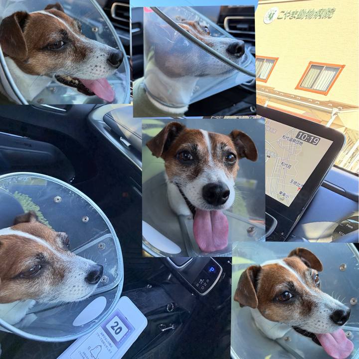 521d2d06 8101 4f29 b948 7fad7729f306 1766885138702