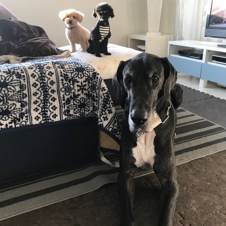 521d49ab 1c8c 4112 adc2 5911fd84cabc 1517179771096