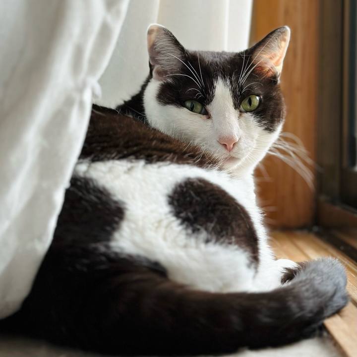 521d5469 f6c4 4a36 ab07 44da4299cb0a 1687137739083