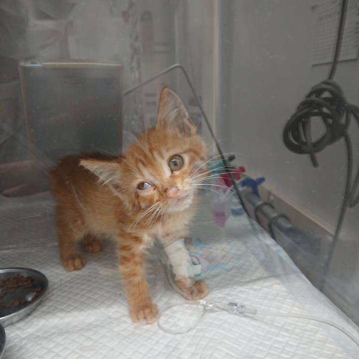 521d5c34 39cc 4021 be40 edbe754357d8 1627552252376