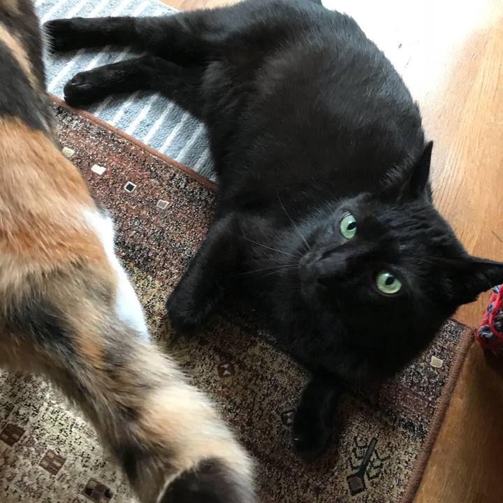 521d6318 09df 447e 8932 0c26fe219121 1529715078063